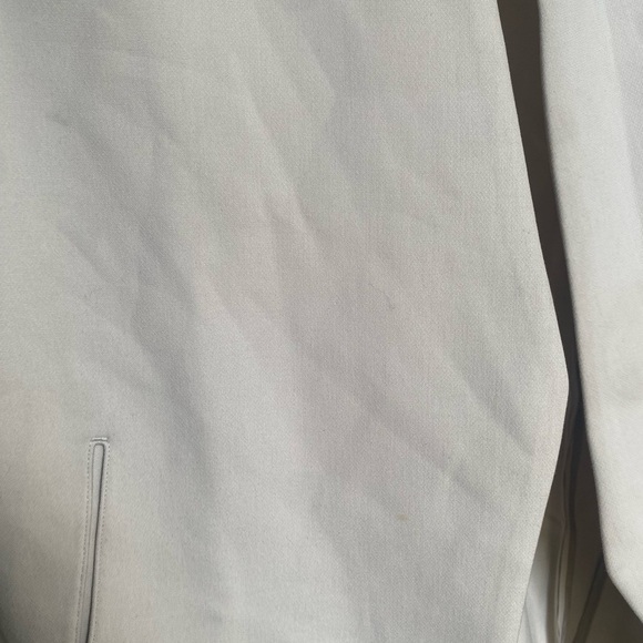 Aritzia Babaton New Power Blazer in Matte Pearl - Picture 11 of 11